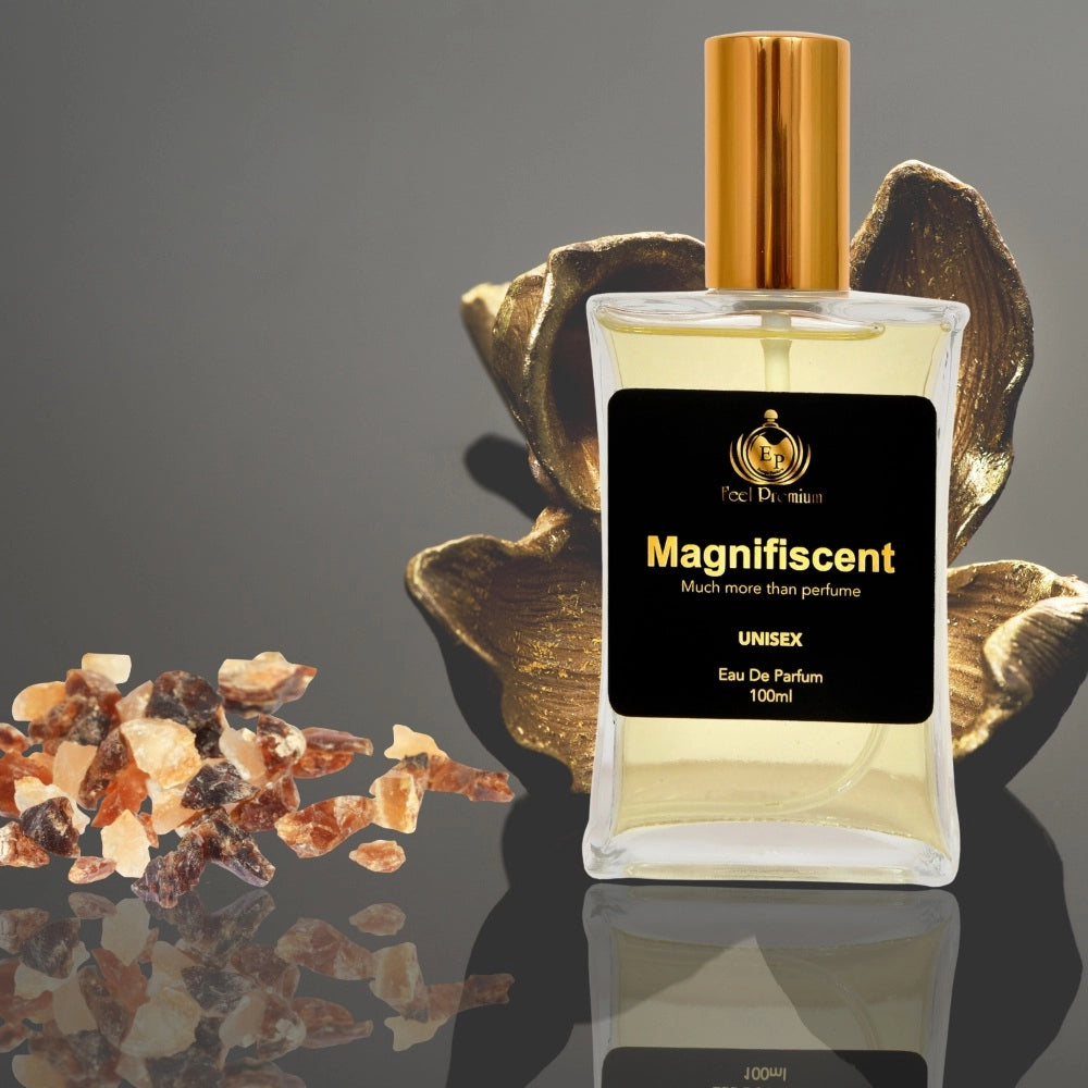 Amfyn Europa Magnifiscent 100ml Perfume Spray For Men And Women