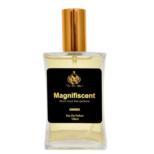 Amfyn Europa Magnifiscent 100ml Perfume Spray For Men And Women